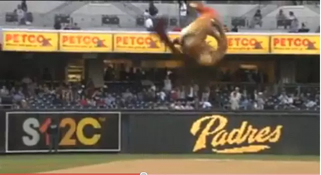 Pitch